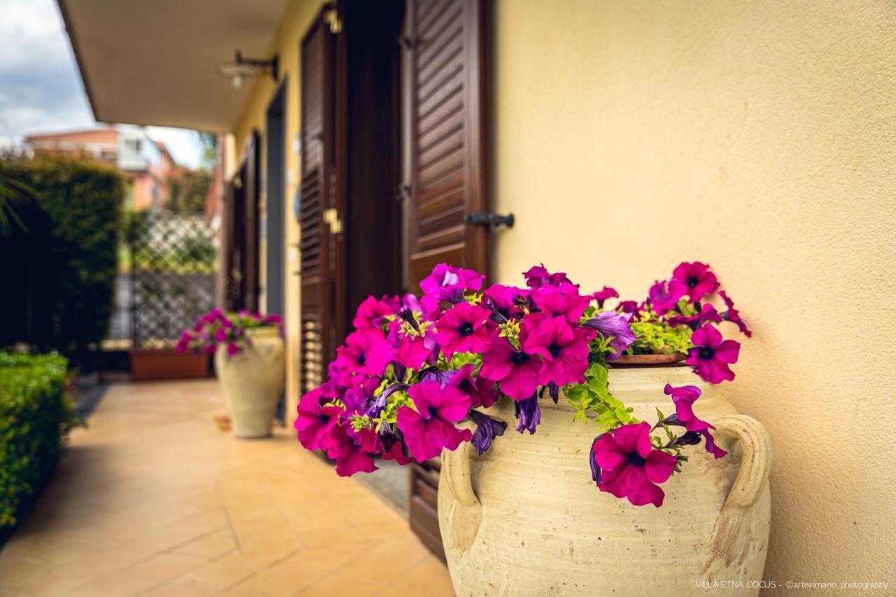 Casa Vacanze Etna Cocus Santa Venerina Kültér fotó
