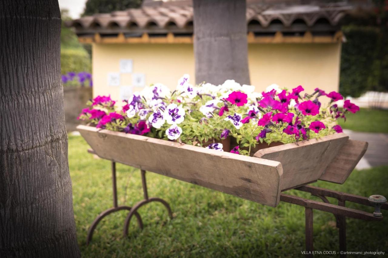 Casa Vacanze Etna Cocus Santa Venerina Kültér fotó